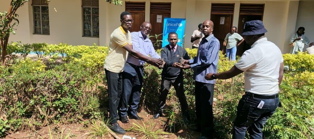 Seedling handover